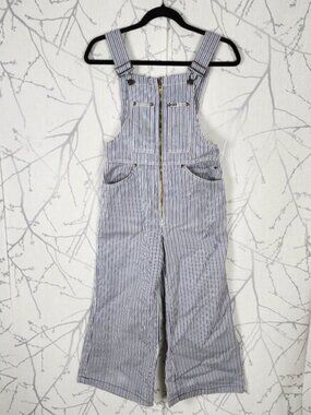 MWG Vintage Blue Stripe Zipper Wide Leg Denim Overalls